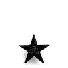 Wacko Maria STAR PIN